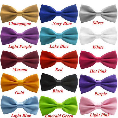 Trustworth Mens Bowtie